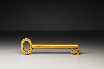 Gilded key on a gray background close-up