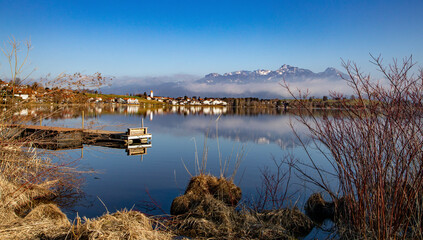 reflections in the water