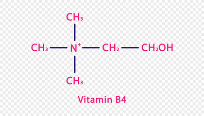 Vitamin B4 chemical formula. Vitamin B4 structural chemical formula isolated on transparent background.