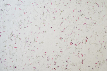 Flowers and plants pressed into art paper.