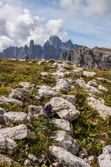 Mountain trail Tre Cime di Lavaredo in Dolomites in Italy