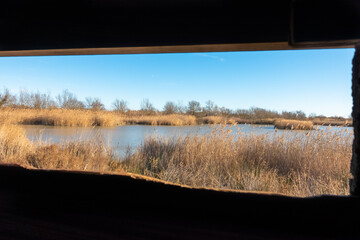 Vue sur des étangs et des marais depuis un observatoire ornithologique, point d'observation des...