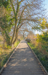 Fototapeta premium Chemin en bois au milieu d'une réserve naturelle.