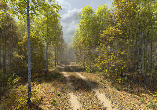 Dirt road with tire tracks in an autumn forest on a rainy and sunny day. 3D render.