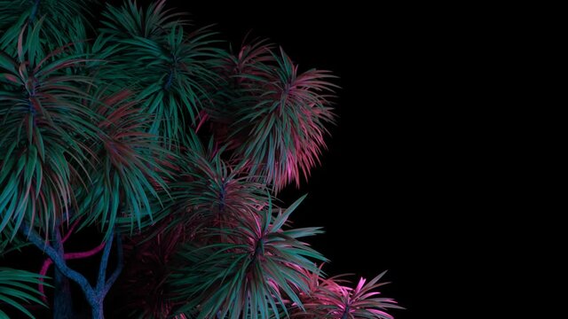 Vacation neon light palm tree background animation with copy space. Seamless looping.