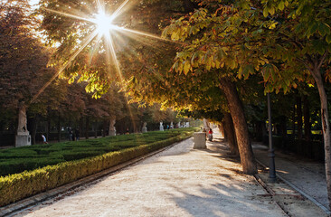 Autumn in the park, Madrid, Spain