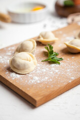Meat dumplings - russian pelmeni. Traditional homemade food