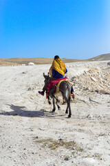 Donkey and bedouin in Westbank Israel, Judean desert, Israeli wilderness. Arab sitting on a donkey. Bedouin riding the donkey on the desert. 