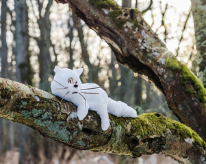Snowman cat on a tree. Animal cat out of the snow.