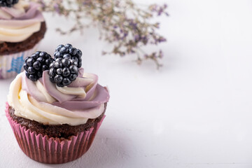 Delicious cupcake with blackberry. Space for text
