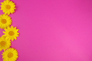 Summer flowers on a color background. Top view, text space