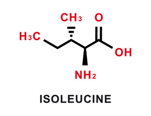 Isoleucine chemical formula. Isoleucine chemical molecular structure. Vector illustration