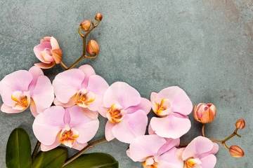 Foto op Canvas Pink spa orchid theme objects on pastel background. © gitusik