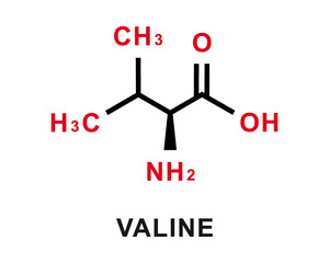 Valine chemical formula. Valine chemical molecular structure. Vector illustration