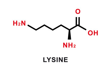 Lysine chemical formula. Lysine chemical molecular structure. Vector illustration