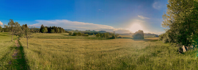 Obraz premium sunrise over the field