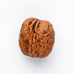 Obraz premium One single Walnut on white background.