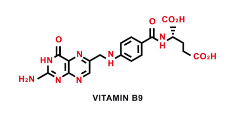 Vitamin B9 chemical formula. Vitamin B9 chemical molecular structure. Vector illustration