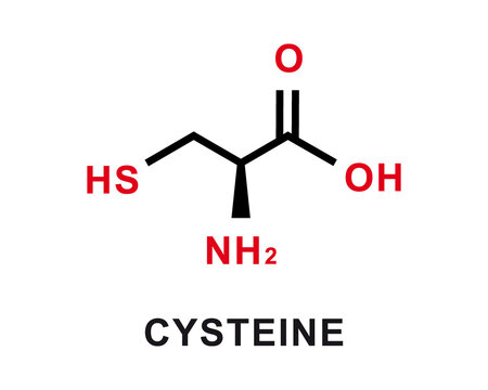 Cysteine chemical formula. Cysteine chemical molecular structure. Vector illustration