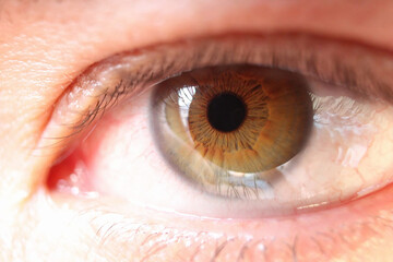 iris, ojo verde, ojo, oftalmología 