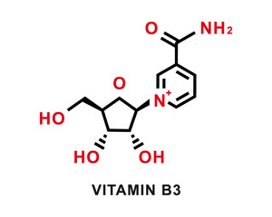 Vitamin B3 chemical formula. Vitamin B3 chemical molecular structure. Vector illustration