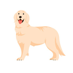 Labrador retriever standing on the floor isolated simple flat vector illustration. Pure hunting breed doggy with cute smile design element.