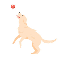Labrador retriever playing with ball isolated simple flat vector illustration. Pure breed doggy jumping design element. 