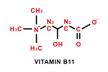 Vitamin B11 chemical formula. Vitamin B11 chemical molecular structure. Vector illustration