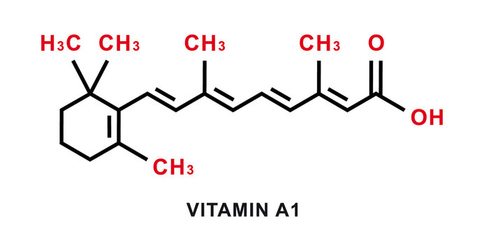 Vitamin A1 chemical formula. Vitamin A1 chemical molecular structure. Vector illustration