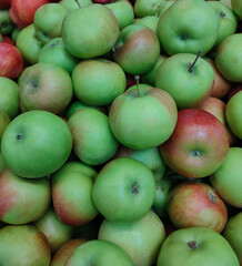 fresh green and red apples on the counter in the supermarket