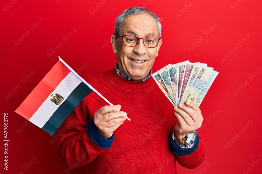 Poster handsome senior man with grey hair holding egypt flag and egyptian pounds banknotes smiling and laug