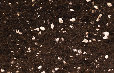 Fototapeta Potting soil mixed with perlite good for indoor plants concept obraz