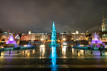 Obraz premium Trafalgar Square with Christmas tree in London England 