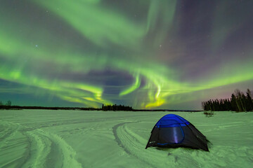 Beauitful aurora over the night sky  with a blue tent below at Chena Lakes