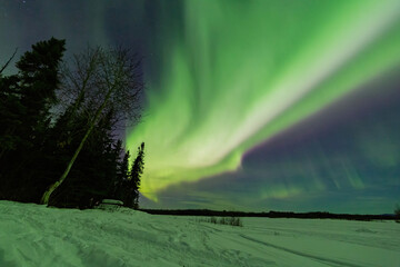 Beauitful aurora over the night sky at Chena Lakes