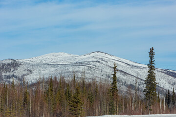 Afternoon landscape in Denali National Park and Preserve
