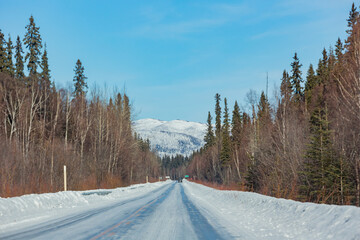 Afternoon landscape in Denali National Park and Preserve