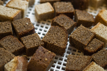 Drying rusk in an electric dryer. Dehydration of white and brown bread crackers. Selective focus