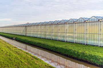 Greenhouses of a glasshouse horticultural company reflected in the mirror-smooth water surface of a ditch. The photo was taken on a cloudy winter day in the Dutch province of North Brabant.