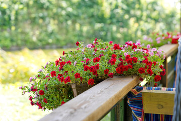 Beautiful modern terrace with a flowers outside. close up