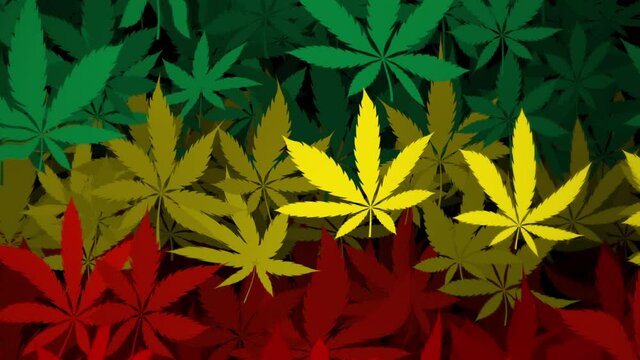 Trippy psychedelic cannabis leaf background animation in the rastafarian flag colors of green, yellow and red. Full HD and looping rasta style motion background.