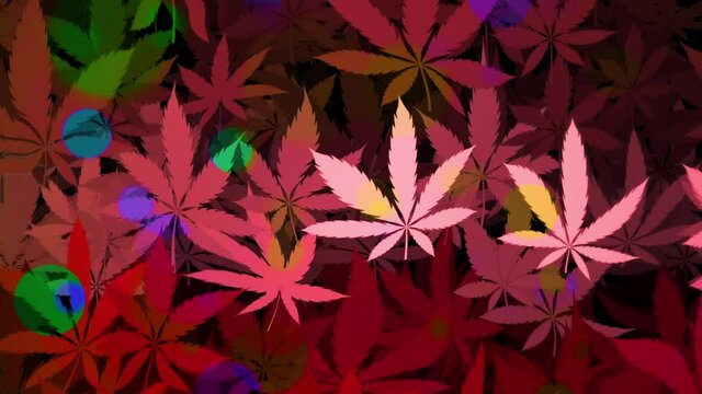 Trippy psychedelic cannabis leaf background animation. Full HD and looping motion background.