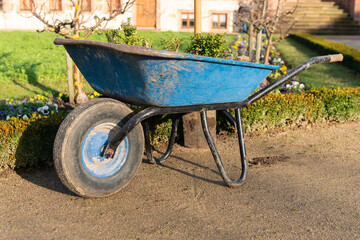 blue wheelbarrow in garden sunny day in spring