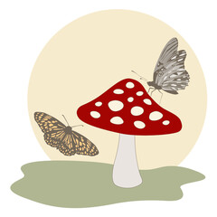  mushroom and butterflies
