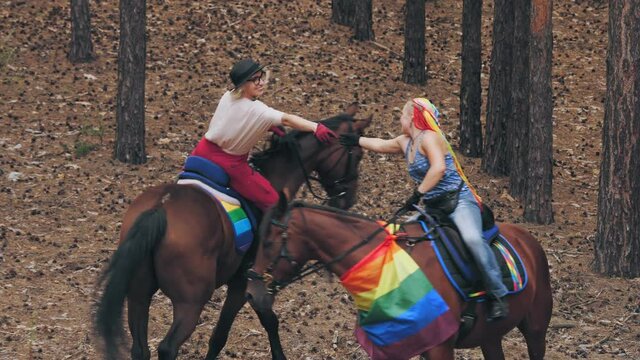 Obrázky Hobby-Horse – procházejte fotografie, vektory a videa 2,802