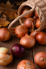 Red and white onions on a rustic wooden table spilling out of a wicker basket in the kitchen, top view. High quality photo