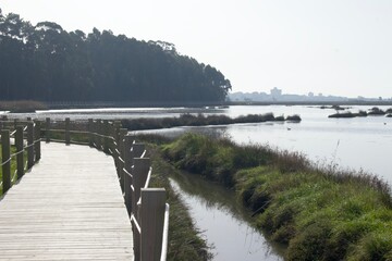 Obraz premium wooden bridge over the river