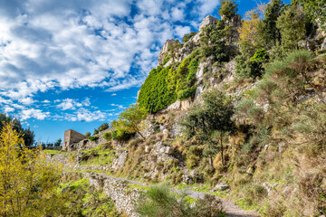 Fototapeta na wymiar View of trees and autumn leaves along the Path of the Gods on the Amalfi Coast of Italy