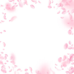 Fototapeta na wymiar Sakura petals falling down. Romantic pink flowers vignette. Flying petals on white square background. Love, romance concept. Energetic wedding invitation.