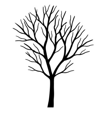 Shape of Black Tree. Vector outline Illustration. Plant in Garden.